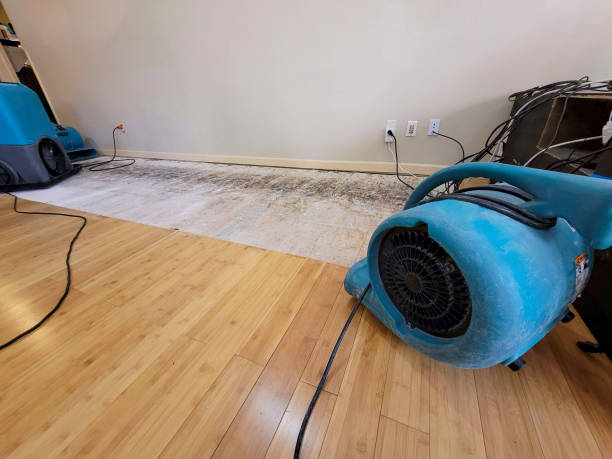 Professional Water Removal technician working in Rio Nido, CA